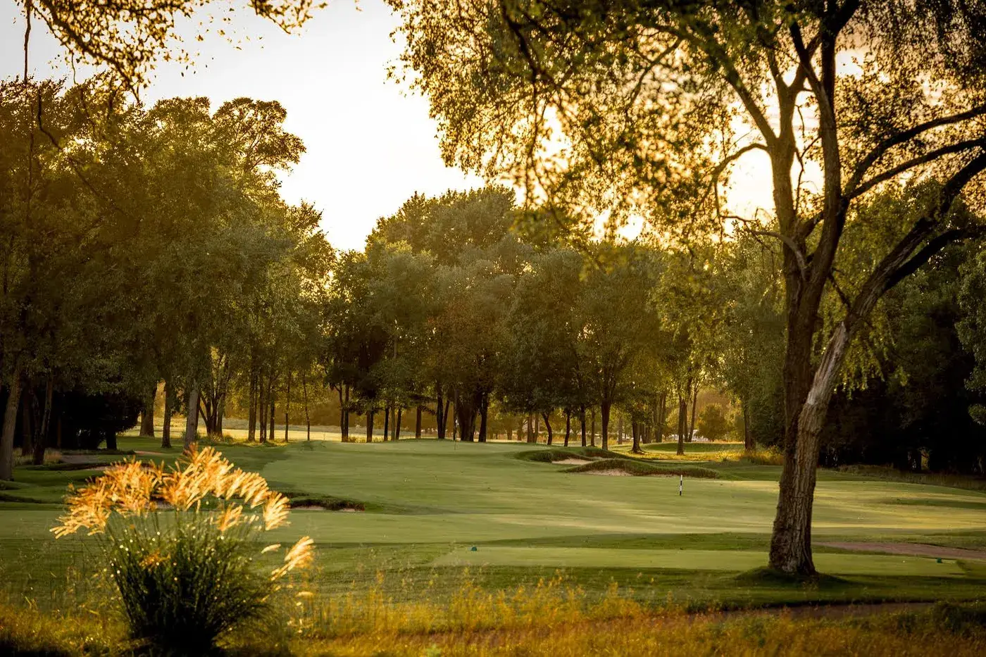 Warren Golf Course at Notre Dame — a Coore and Crenshaw design of native grasses and gentle Indiana terrain