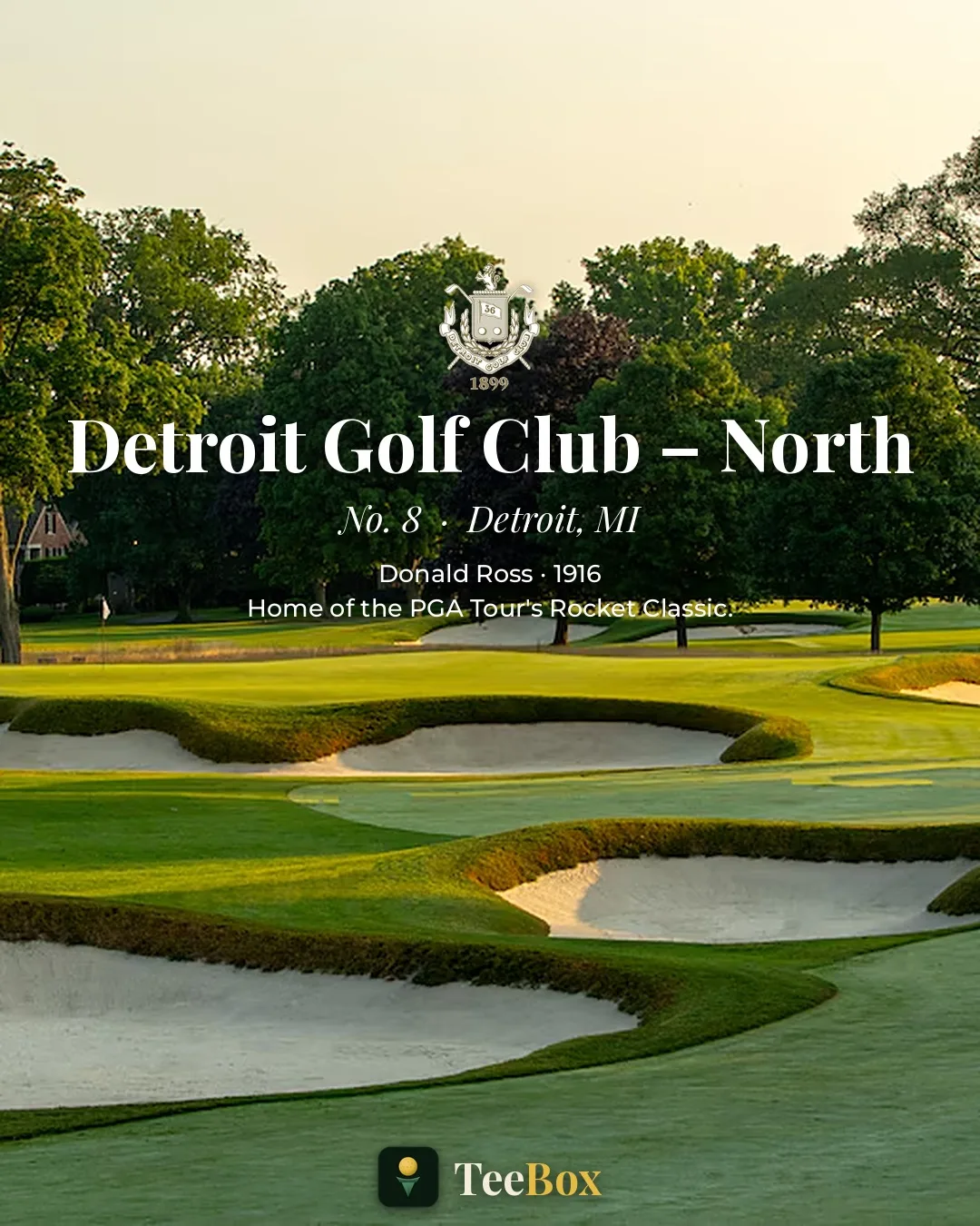 The North Course at Detroit Golf Club &mdash; a Donald Ross green ringed by deep bunkers, with mature trees and evening light