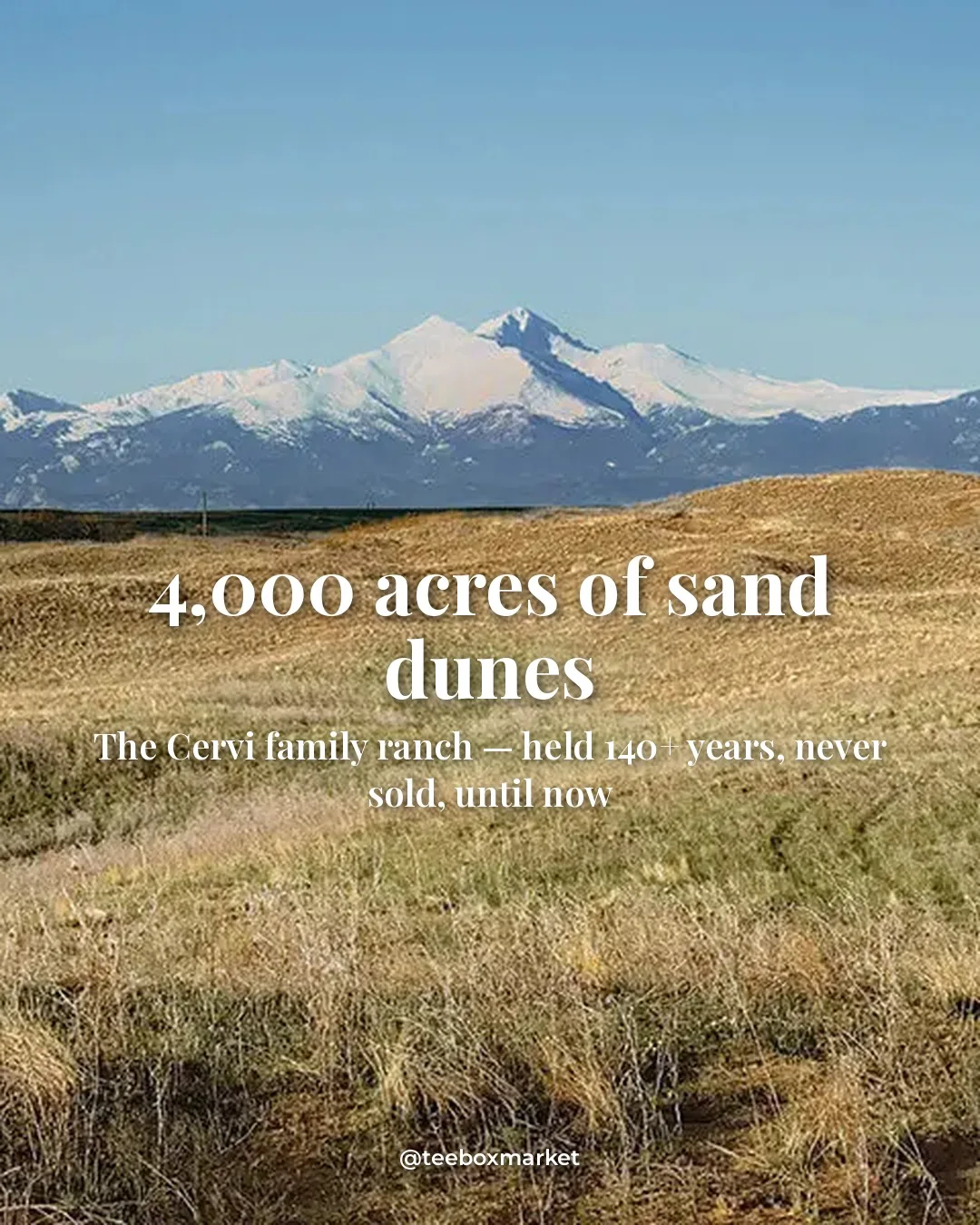 Colorado plains and sand dunes with the snow-capped Front Range behind — the Cervi family ranch, home of Rodeo Dunes
